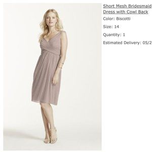 Short Mesh Bridesmaid Dress Cowl Back Biscotti 14